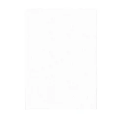 100 Feuilles Azyme Pour Nougat Et Calissons A4 0,3 Mm Patisdecor Pro