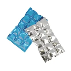 Accumulateurs De Froid Patisdecor (X 2)