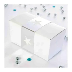 Ballotin Blanc, Interieur Blanc 250 G (X 50)