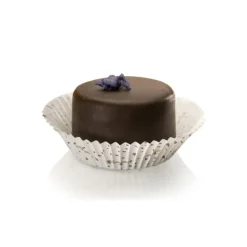 Caissettes Cuisson Sienne 60 X 25 Mm (X1000)