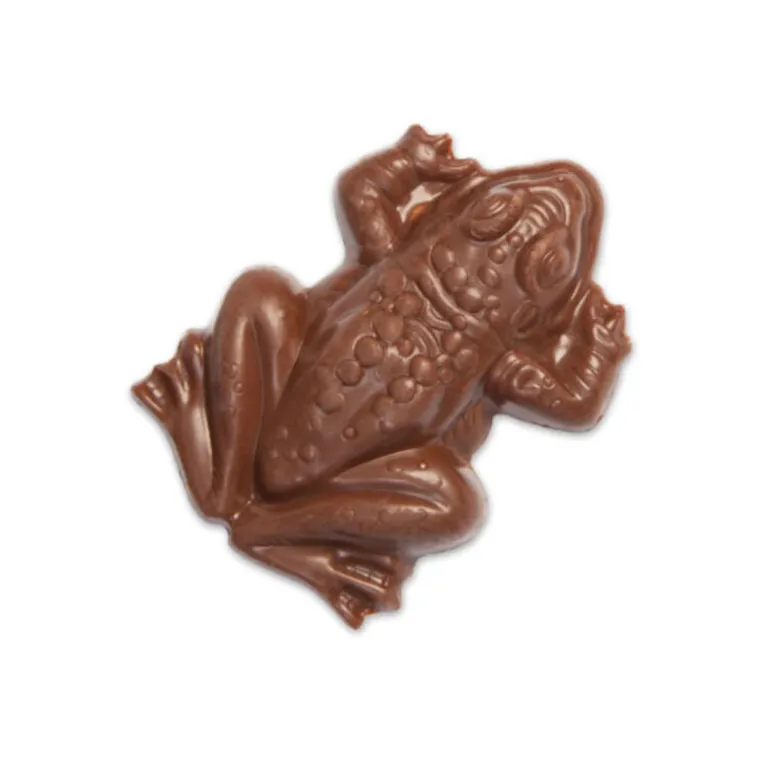 Chocogrenouille Chocolat Au Lait Et Riz Souffle - Harry Potter