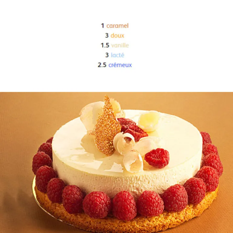 Chocolat Blanc Satin 29 % 5 Kg