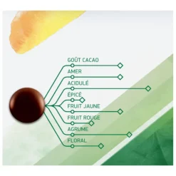 Chocolat De Couverture Noir Evocao 72 % 2,5 Kg