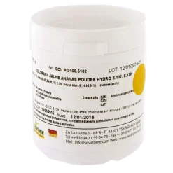 Colorant Poudre Alimentaire Jaune Ananas 100 G
