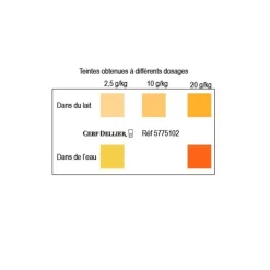 Colorant Poudre Alimentaire Jaune Ananas 100 G