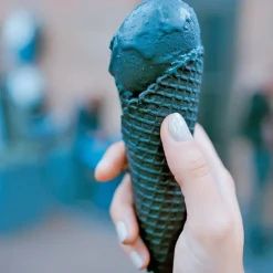 Colorant Poudre Alimentaire Noir Vegetal 100 G