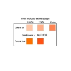 Colorant Poudre Alimentaire Mandarine 100 G