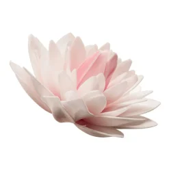 Dahlia Rose Geant Azyme