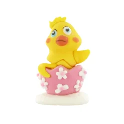 Decor Comestible Poussin Coquille