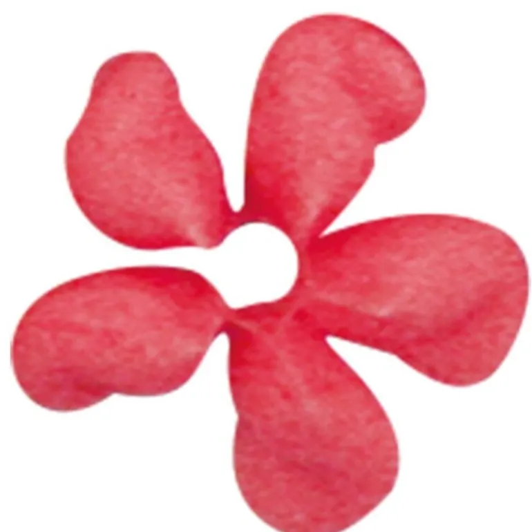 Douille Etoile Fine Inox N140