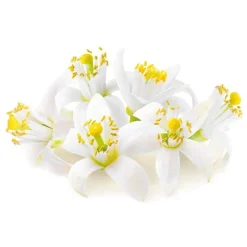 Extrait De Fleur D'Oranger Patisdecor 50 Ml