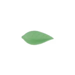 Feuille De Liseron Vert Clair (X500)