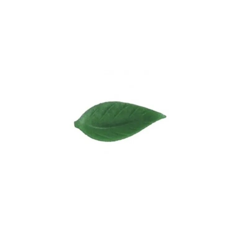 Feuille De Liseron Vert Fonce (X500)