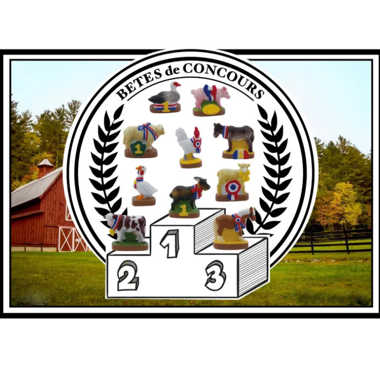 Feves Betes De Concours (X100)