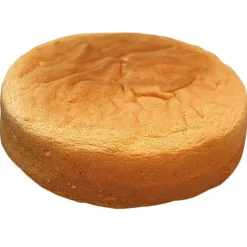 Génoise Nature Ronde 20 Cm Patisdecor