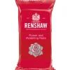 Gumpaste Rouge Oeillet Renshaw 250 G - Ddm 07/23