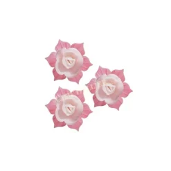 Jonquille Blanche Et Rose (X28)