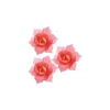 Jonquille Carmin Et Rose (X28)