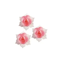 Jonquille Rose Et Blanche (X28)