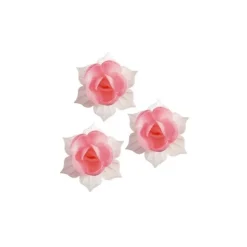 Jonquille Rose Et Blanche (X 5)