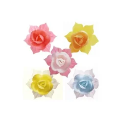 Jonquilles Couleurs Assorties (X28)