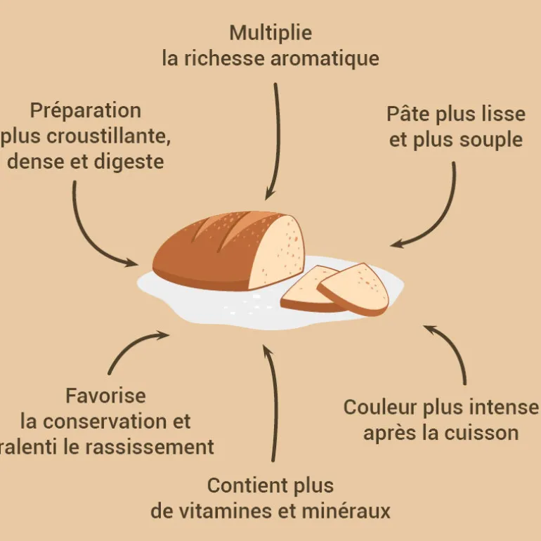 Levain De Seigle Patisdecor 150 G