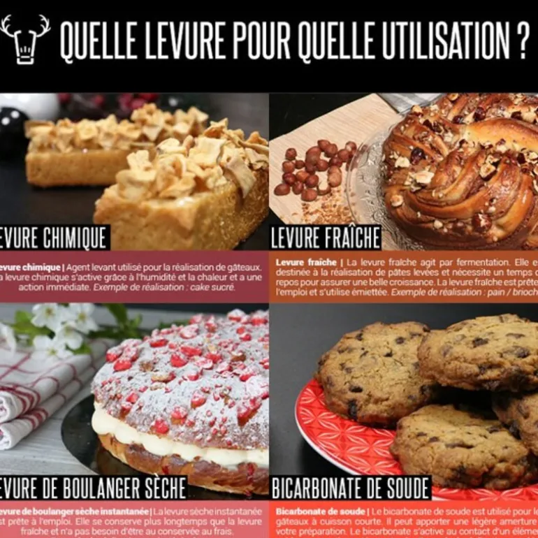 Levure Seche Speciale Pizza 500 G