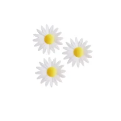 Marguerite Blanche (X100)