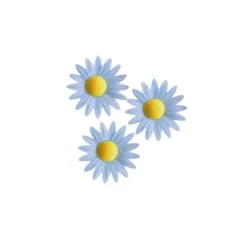 Marguerite Bleue (X100)