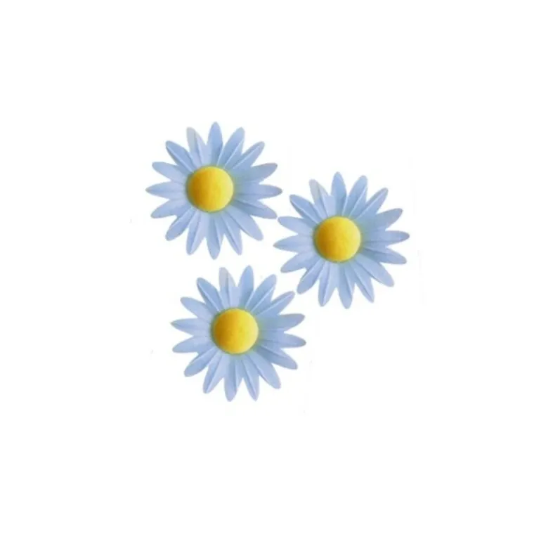 Marguerite Bleue (X100)