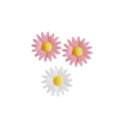 Marguerites Assorties Roses Et Blanches (X100)