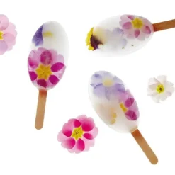 Moule A Esquimaux Silicone Waikiki + 50 Bâtons