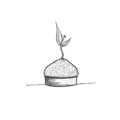 Moule Mini Tarte 3D Citrons Pavoni