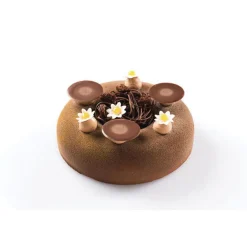 Moule Silicone 6 Grands Savarins