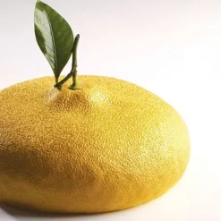 Moule Silicone Citron Pavoni