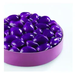 Moule Silicone Rocky Pavoni