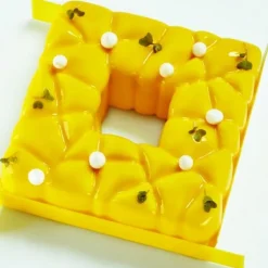 Moule Silicone Square Pavoni