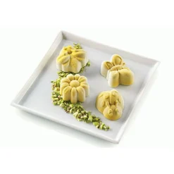 Moule Silicone Sujets Printaniers