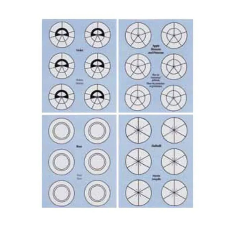 Patrons D'Aide A La Realisation Des Fleurs Wilton