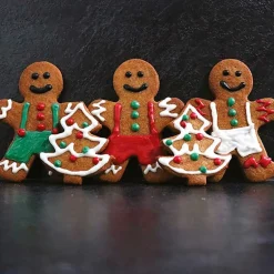 Preparation Biscuits Pain D'Épices Patisdecor 250 G