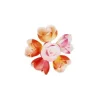 Rose Decor Nuance Aerographe (X72)