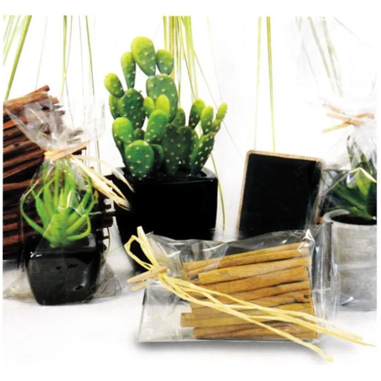 Sachet Plat Polypropylene Neutre 30 (X100)