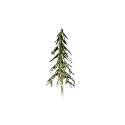 Sapin Or Sur Pique (X144)